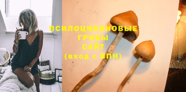 прущая мука Бородино