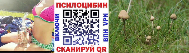 Псилоцибиновые грибы прущие грибы  что такое наркотик  Люберцы 
